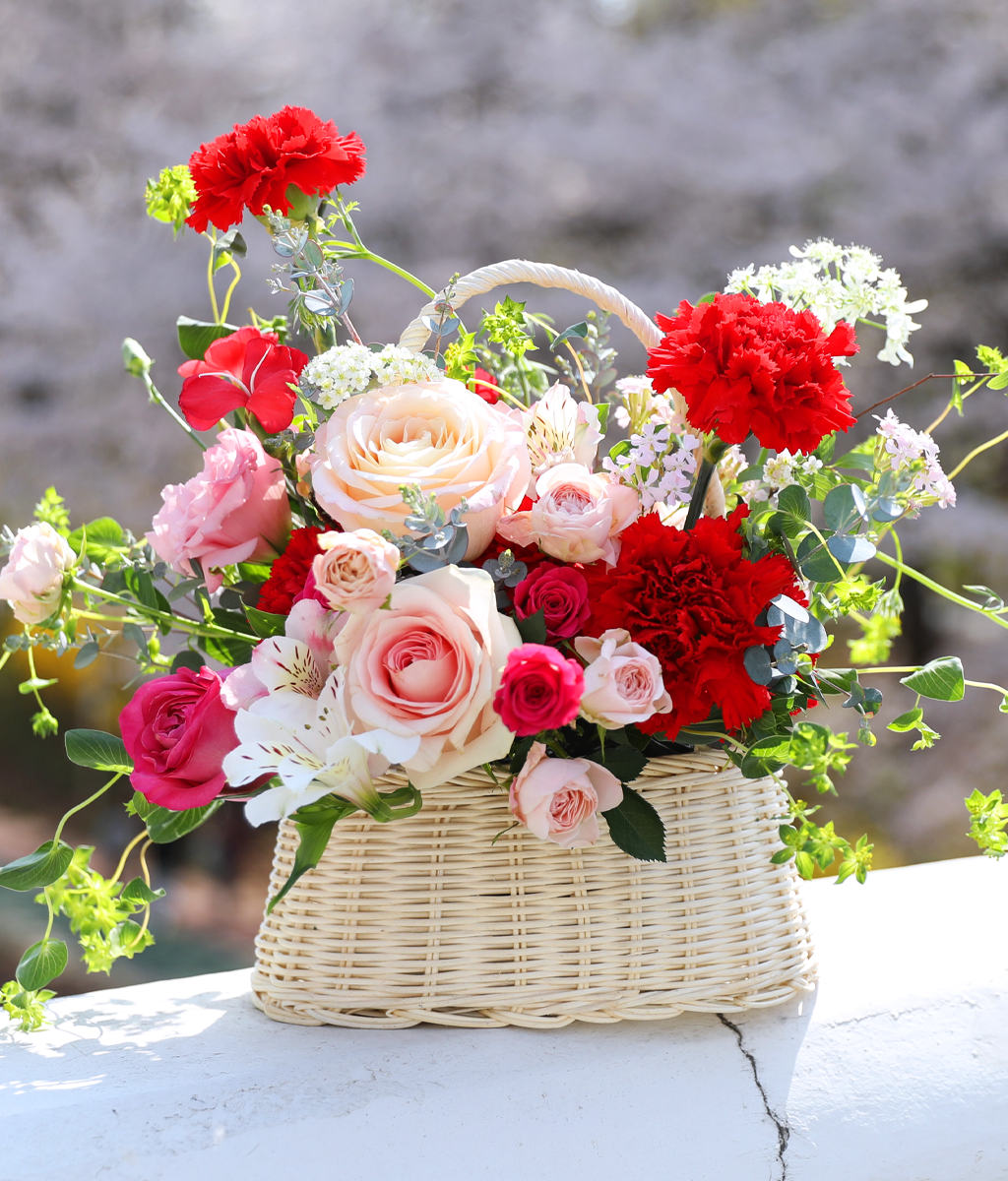 »ç¶ûÀÇ ½ºÇÁ¸µ ·¹µå - °¨¼º Ä«³×À̼Ç