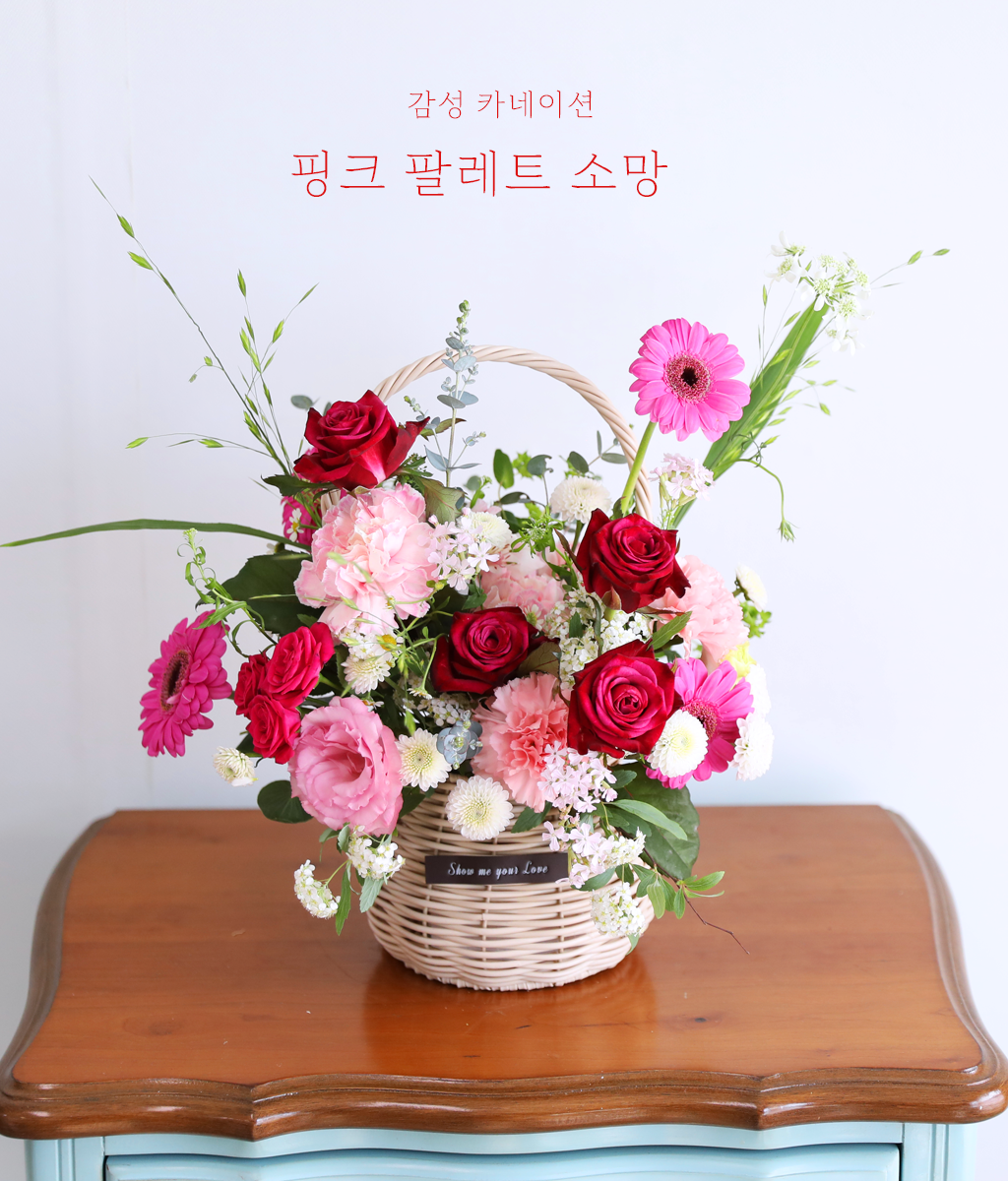 ��ũ �ȷ�Ʈ �Ҹ� - ���� ī���̼� ���� �ɹ��