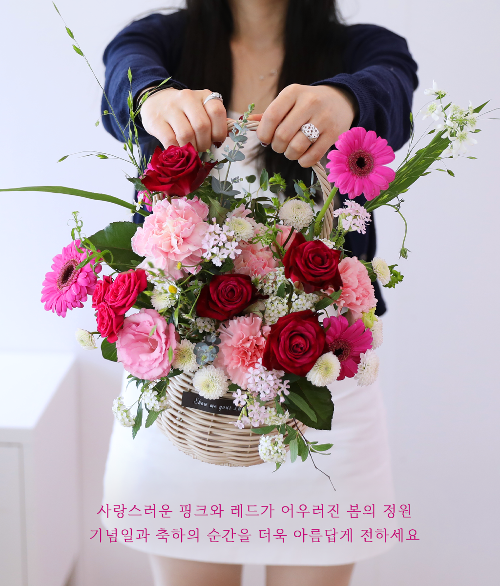 ��ũ �ȷ�Ʈ �Ҹ� - ���� ī���̼� ���� �ɹ��