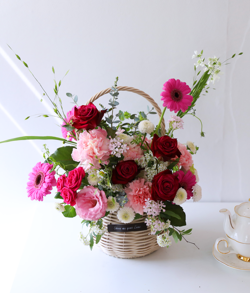 ��ũ �ȷ�Ʈ �Ҹ� - ���� ī���̼� ���� �ɹ��