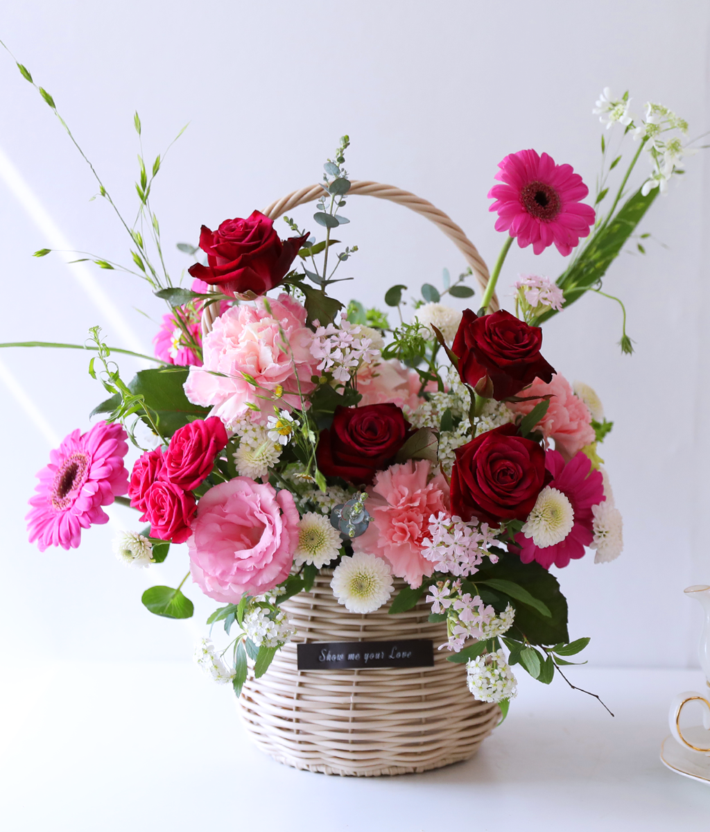 ��ũ �ȷ�Ʈ �Ҹ� - ���� ī���̼� ���� �ɹ��