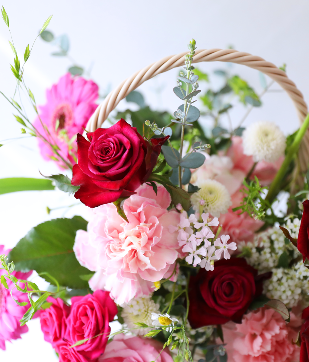 ��ũ �ȷ�Ʈ �Ҹ� - ���� ī���̼� ���� �ɹ��