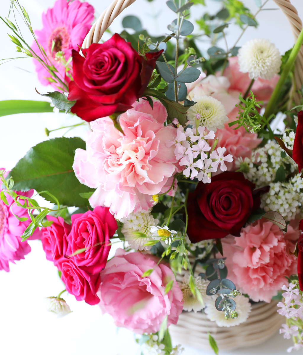 ��ũ �ȷ�Ʈ �Ҹ� - ���� ī���̼� ���� �ɹ��