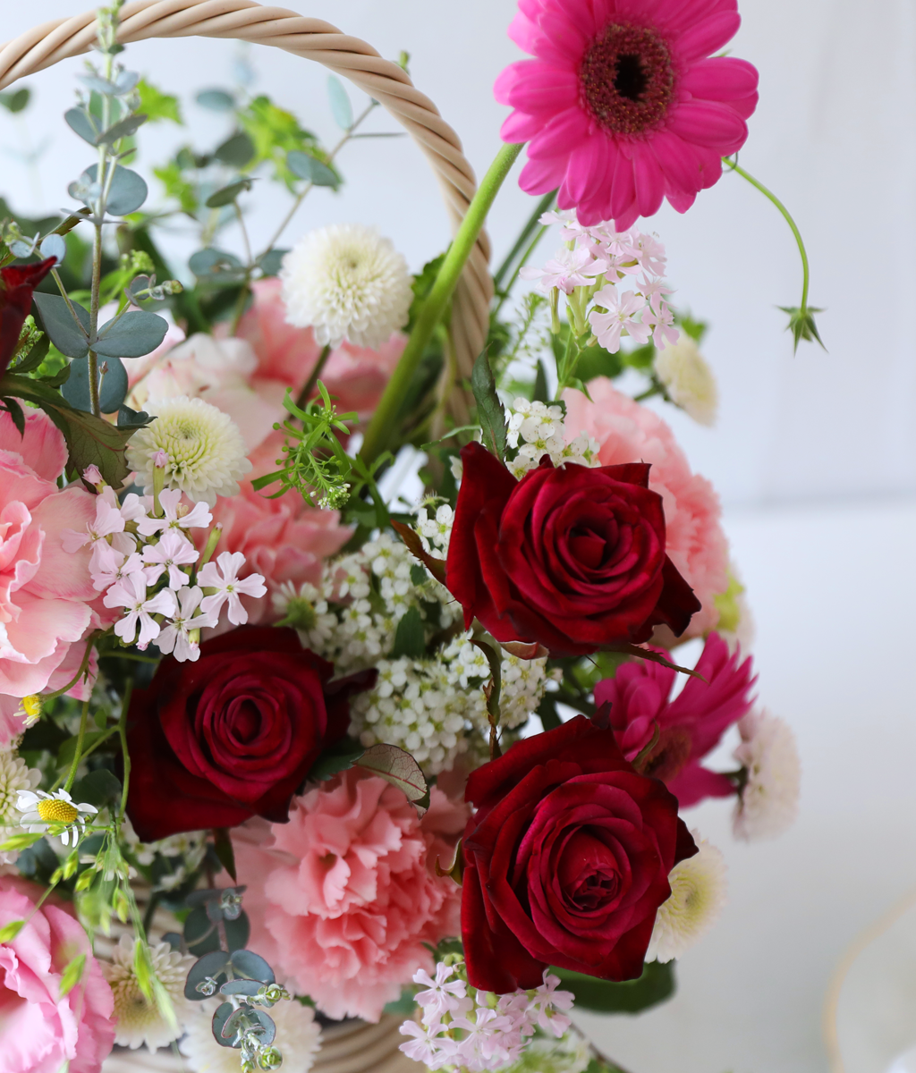 ��ũ �ȷ�Ʈ �Ҹ� - ���� ī���̼� ���� �ɹ��