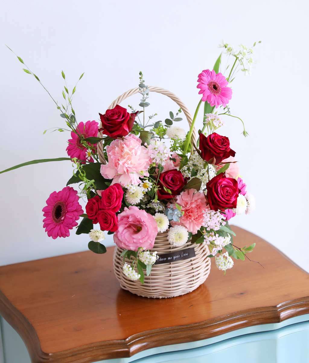 ��ũ �ȷ�Ʈ �Ҹ� - ���� ī���̼� ���� �ɹ��