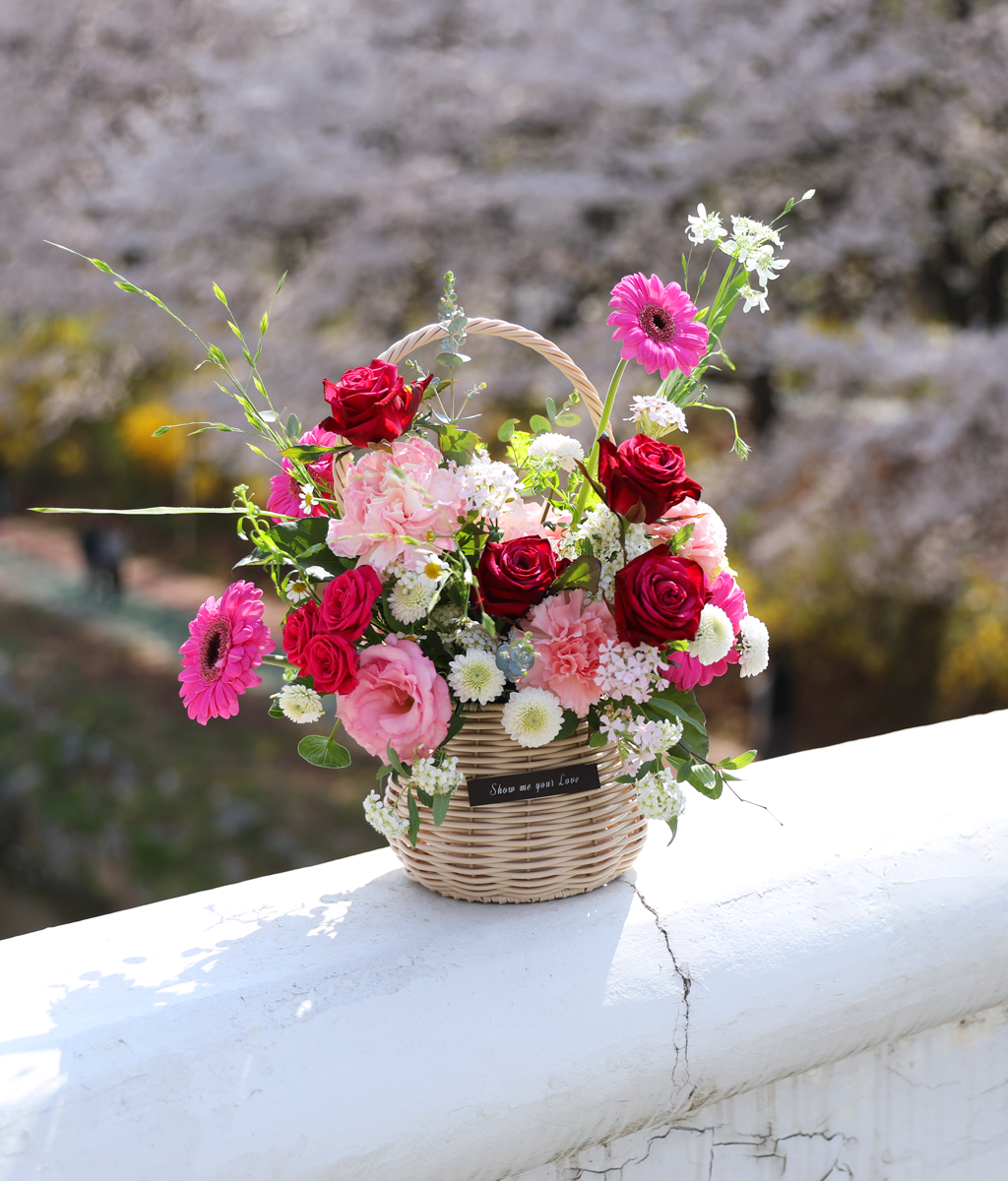 ��ũ �ȷ�Ʈ �Ҹ� - ���� ī���̼� ���� �ɹ��