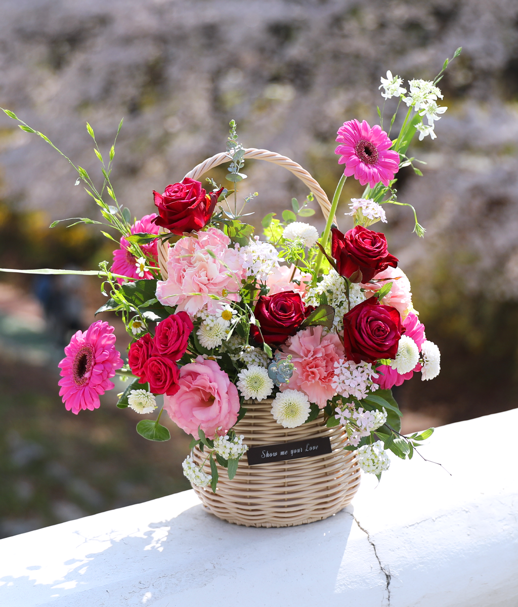 ��ũ �ȷ�Ʈ �Ҹ� - ���� ī���̼� ���� �ɹ��