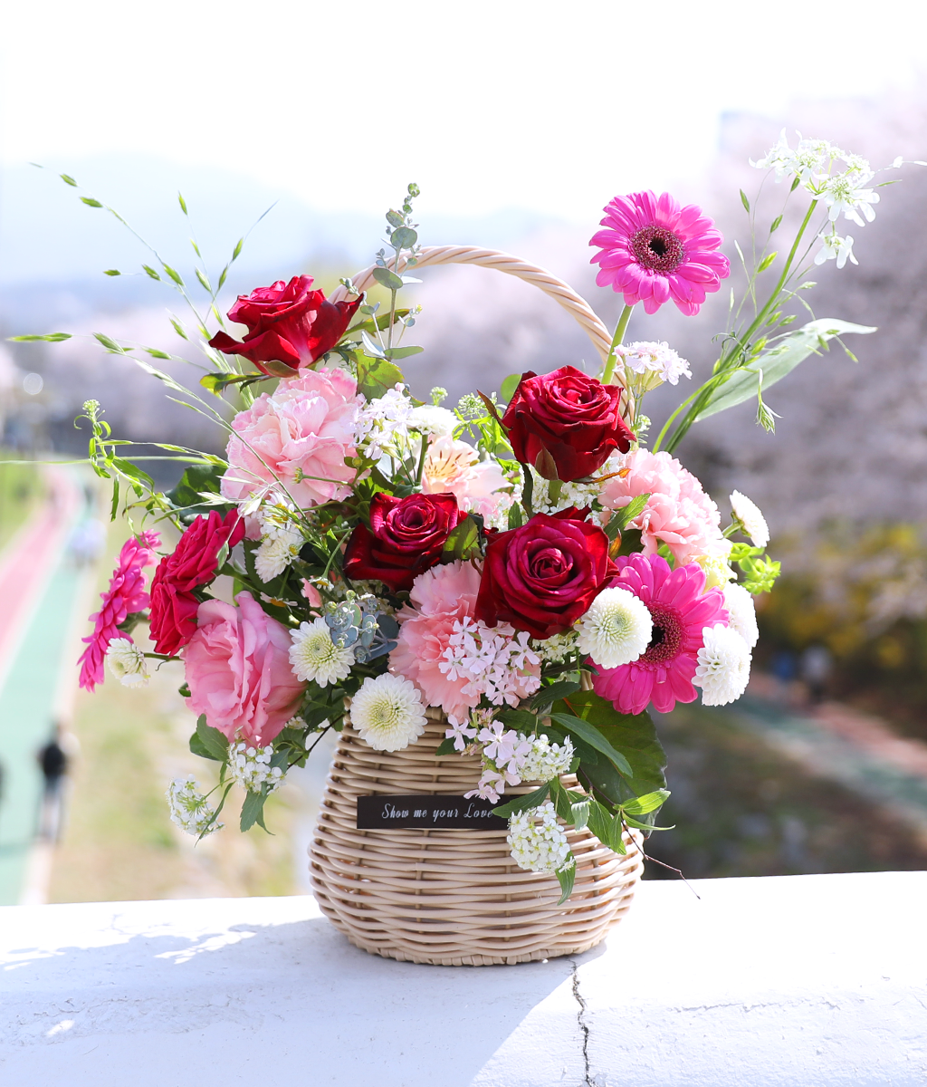 ��ũ �ȷ�Ʈ �Ҹ� - ���� ī���̼� ���� �ɹ��