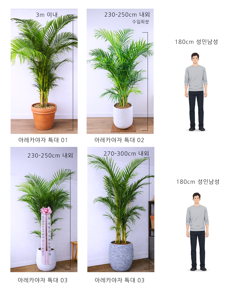 �޻��� ���� �ʷ� - �Ʒ�ī���� Ư�� 02 (����ȭ��)