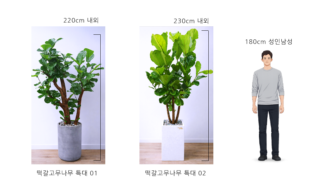 �޻��� ���� �ʷ� - ������������ Ư�� 02