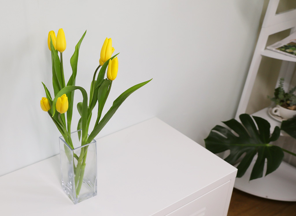 Åõ¸í À¯¸® ȱâ - Á÷»ç°¢ ²ÉÁý ²É¹è´Þ