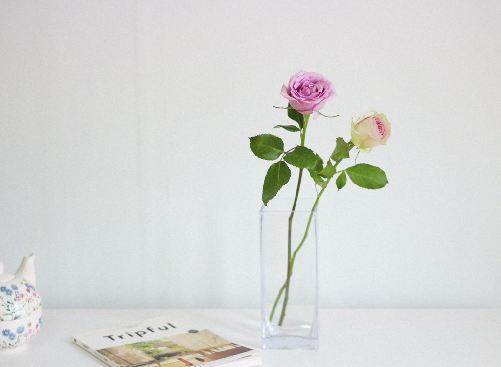 Åõ¸í À¯¸® ȱâ - Á÷»ç°¢ ²ÉÁý ²É¹è´Þ