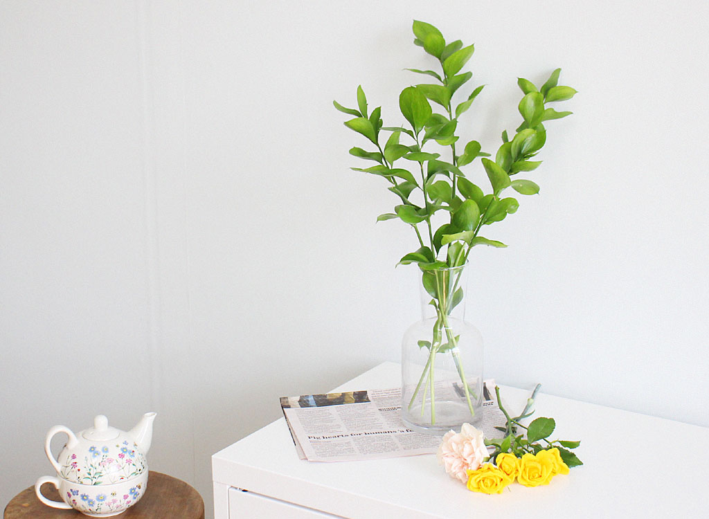 Åõ¸í À¯¸® ȱâ - È£¸®º´ ²ÉÁý ²É¹è´Þ