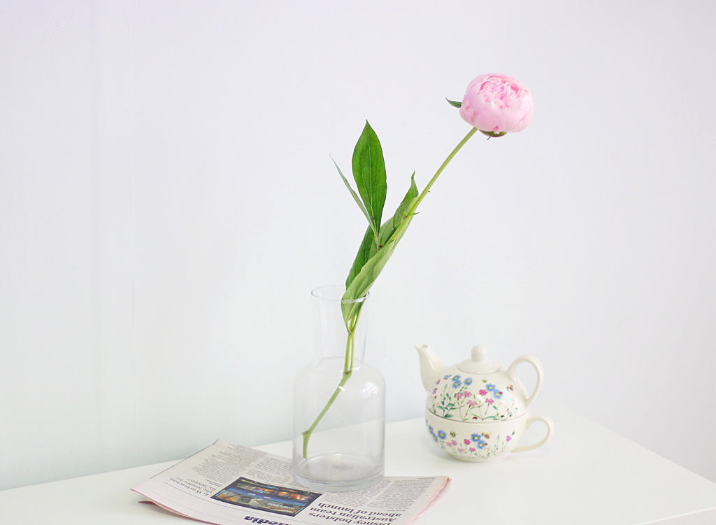 Åõ¸í À¯¸® ȱâ - È£¸®º´ ²ÉÁý ²É¹è´Þ