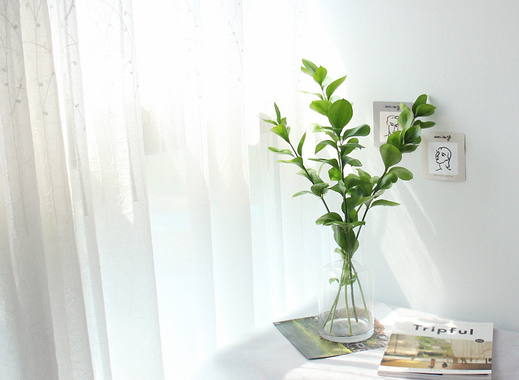 Åõ¸í À¯¸® ȱâ - È£¸®º´ ²ÉÁý ²É¹è´Þ