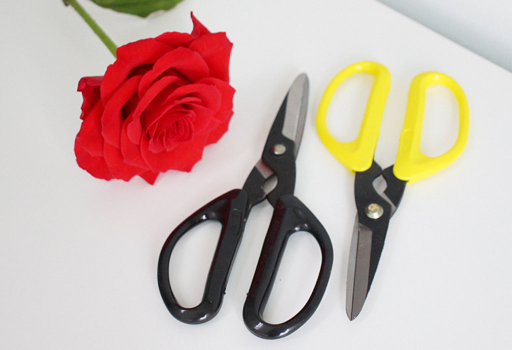 ²É°¡À§ ²ÉÁý ²É¹è´Þ