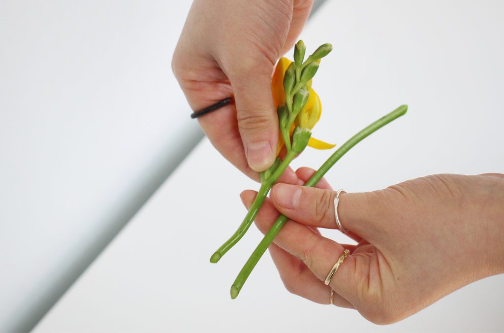 ²É°¡À§ ²ÉÁý ²É¹è´Þ