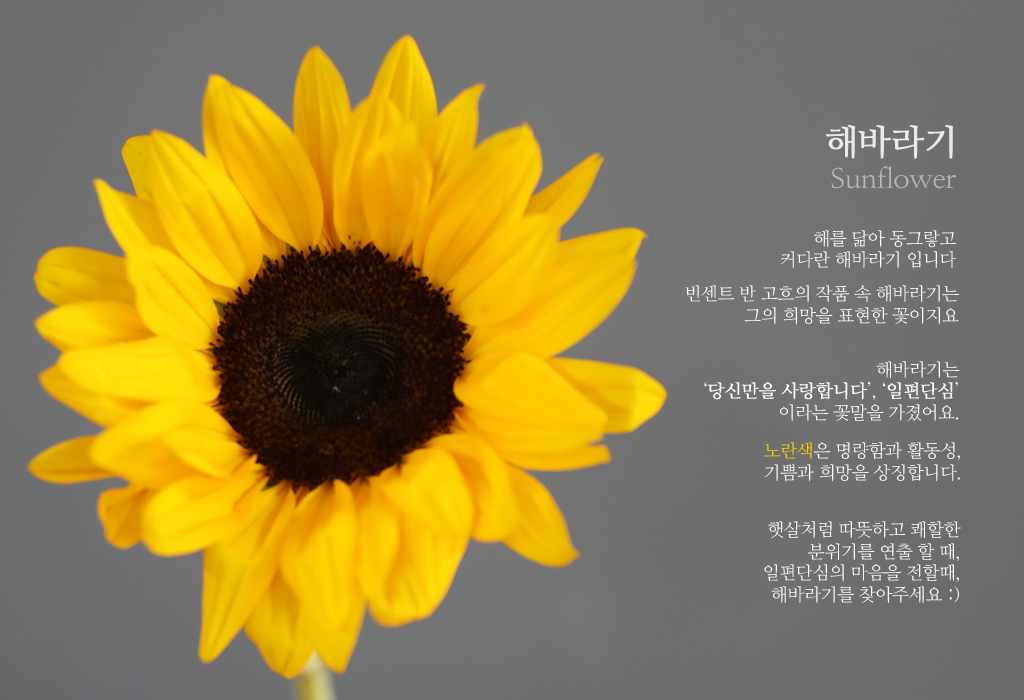 ÇØ¹Ù¶ó±â / 1´ë ²ÉÁý ²É¹è´Þ