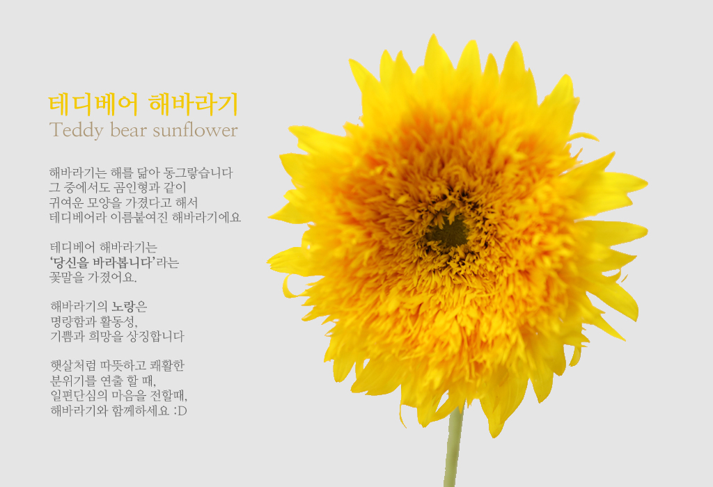 Å׵𺣾î ÇØ¹Ù¶ó±â / 1´ë ²ÉÁý ²É¹è´Þ