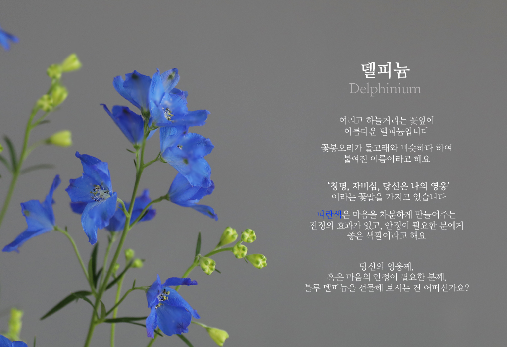 ºí·ç µ¨ÇÇ´½ / 1´ë ²ÉÁý ²É¹è´Þ