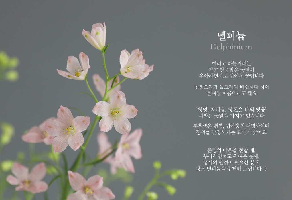 ÇÎÅ© µ¨ÇÇ´½ / 1´ë ²ÉÁý ²É¹è´Þ