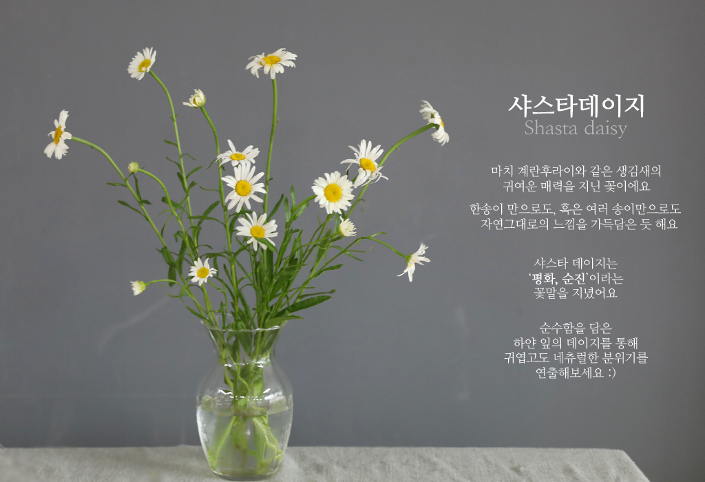 µ¥ÀÌÁö / 1´ë ²ÉÁý ²É¹è´Þ