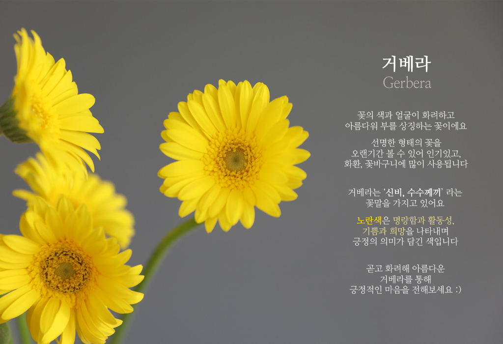 ³ë¶û °Åº£¶ó / 1´ë ²ÉÁý ²É¹è´Þ