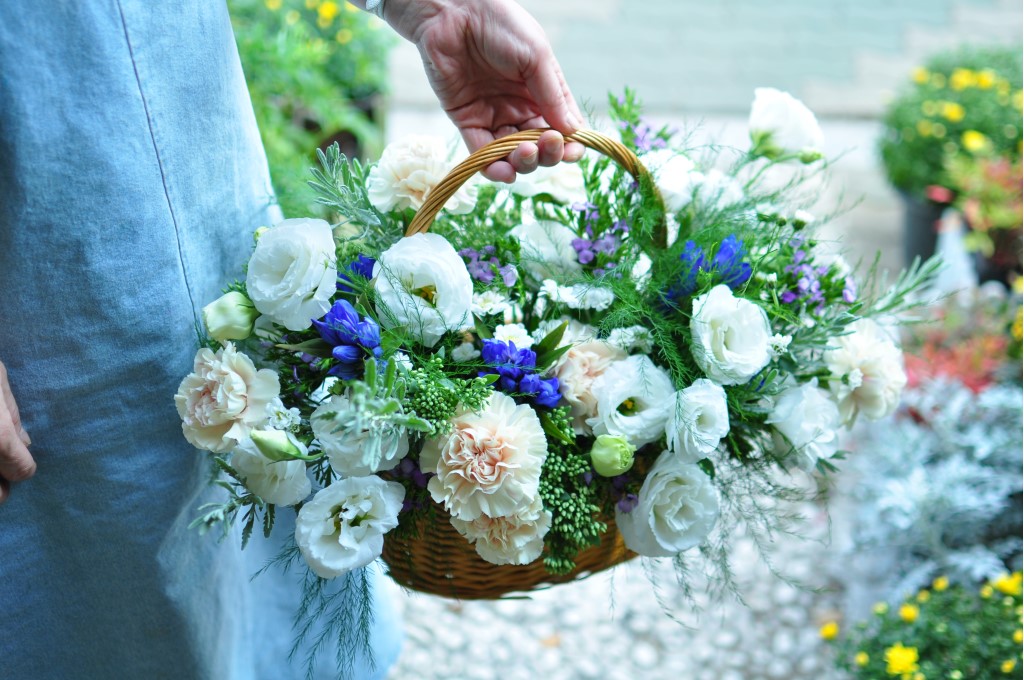 ÈÀÌÆ® ²É¹Ù±¸´Ï