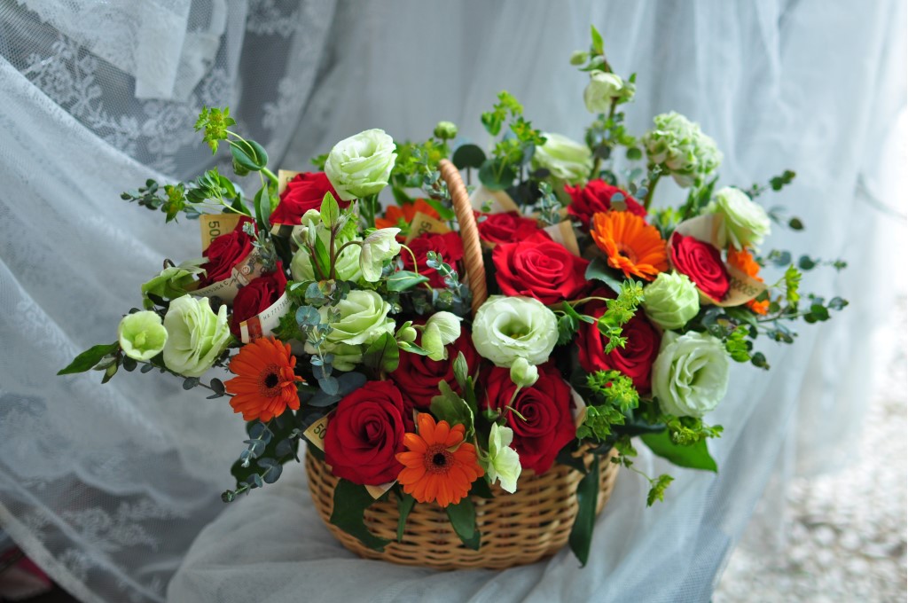 ¿ëµ·²É¹Ù±¸´Ï ²ÉÁý ²É¹è´Þ