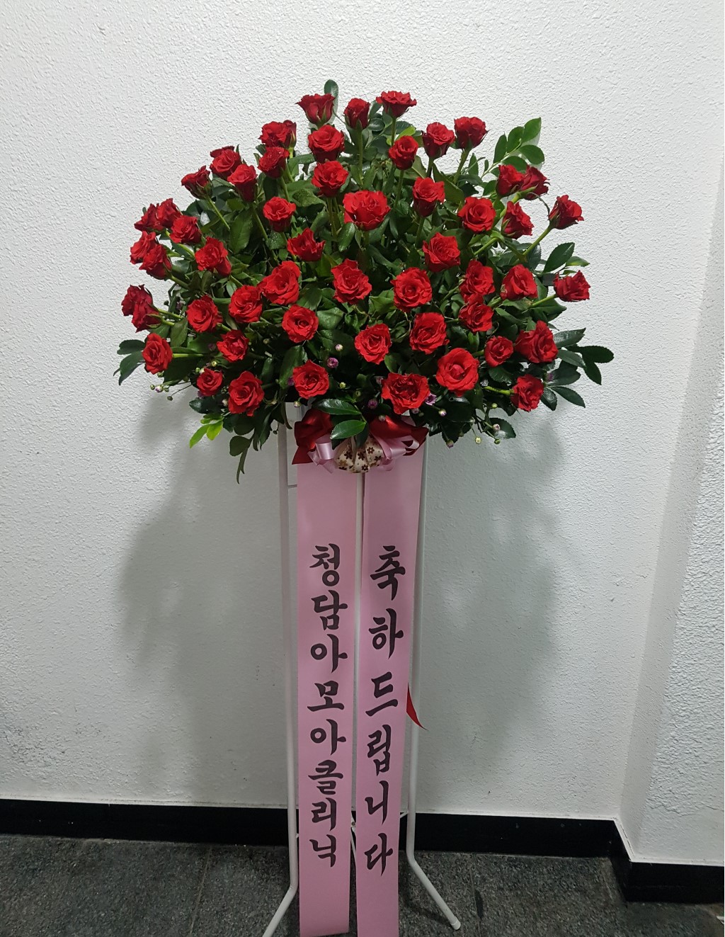 ÃàÇϽÅÈȯ ²ÉÁý ²É¹è´Þ