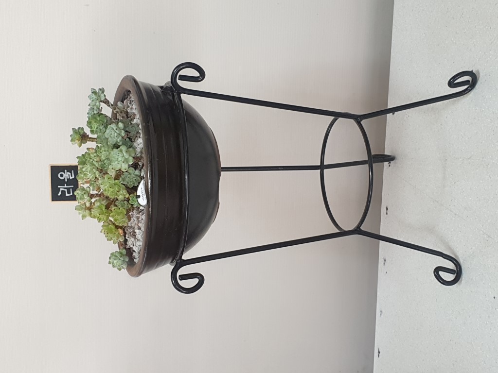 ���� ��� ���� �ɹ��