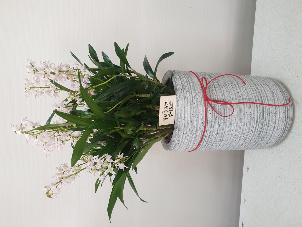 ���Ƴ� ���� �ɹ��