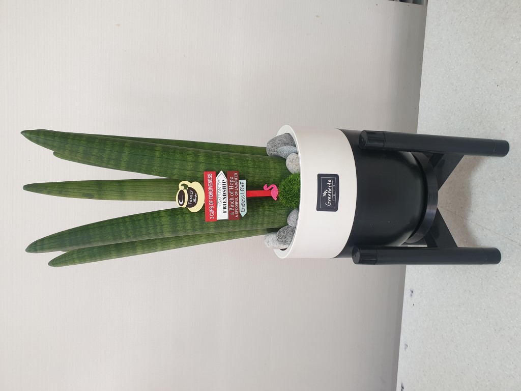 ½ºÅõŰ ²ÉÁý ²É¹è´Þ