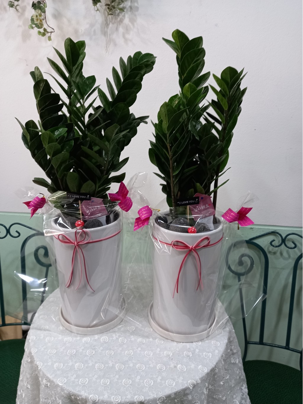 °ü¿± ²ÉÁý ²É¹è´Þ