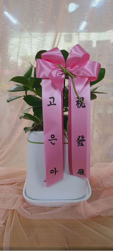 Å©·ç½Ã¾Æ ²ÉÁý ²É¹è´Þ