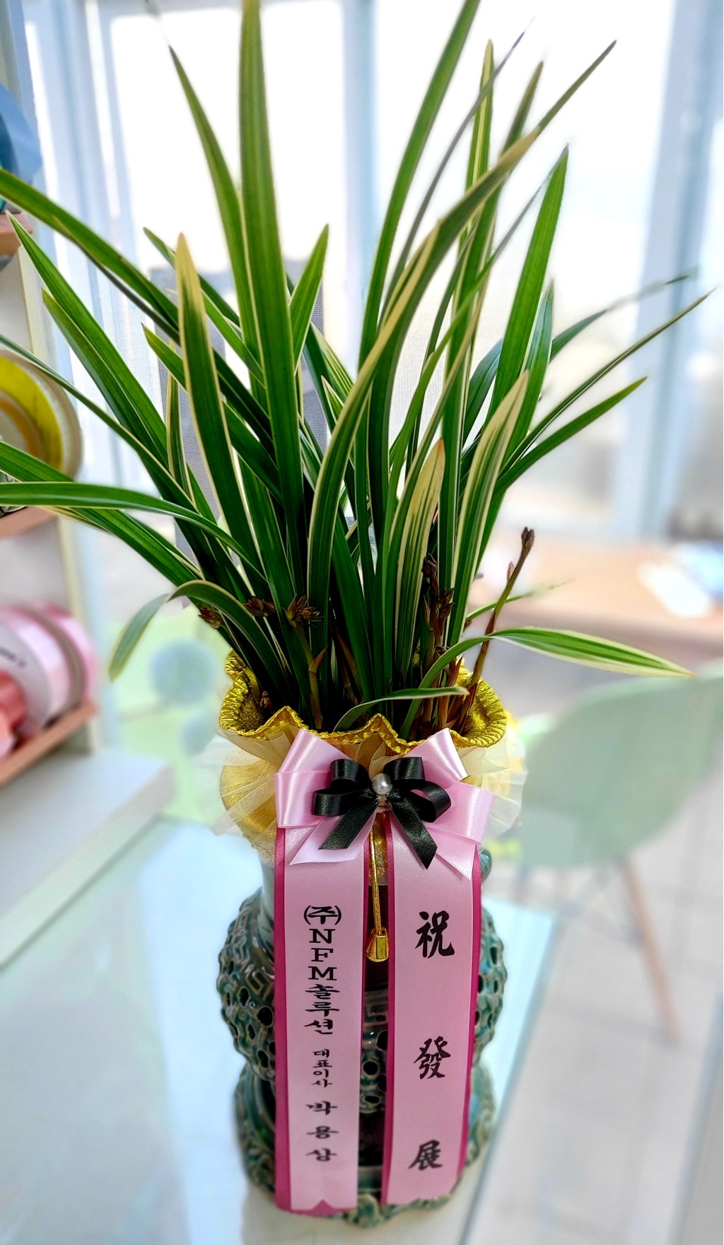 Ȳ��� ���� �ɹ��