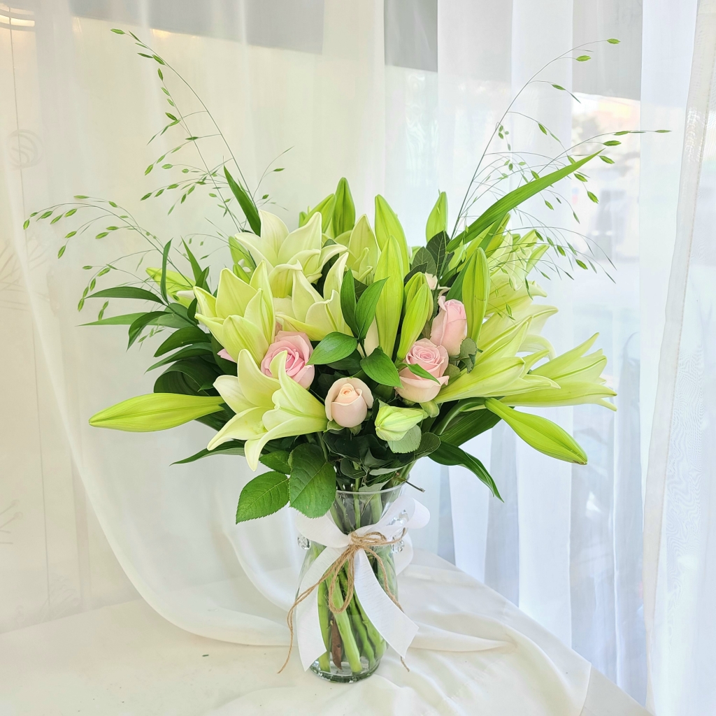 �������ȥ��ȭ��