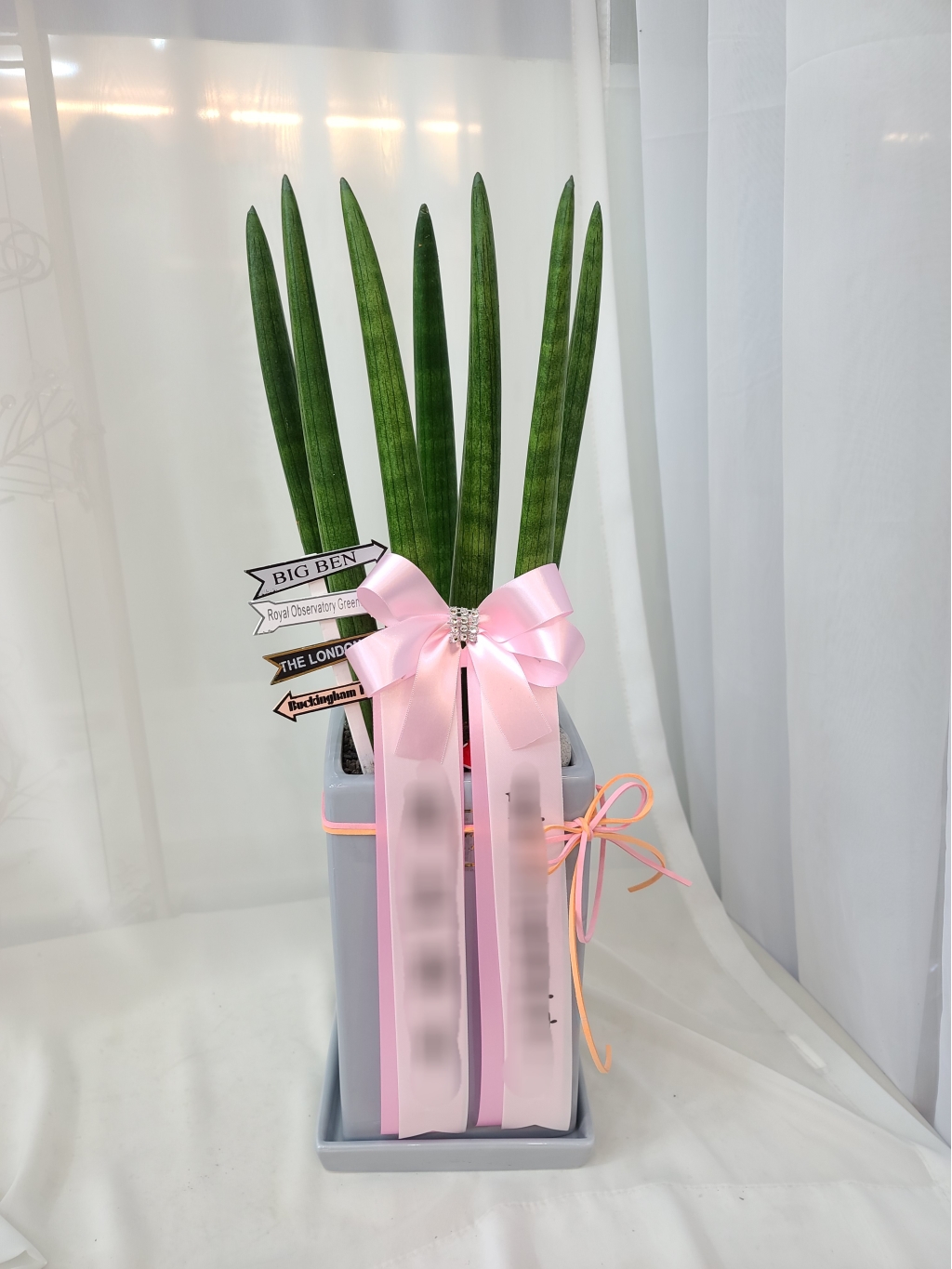 ����Ű ���� �ɹ��