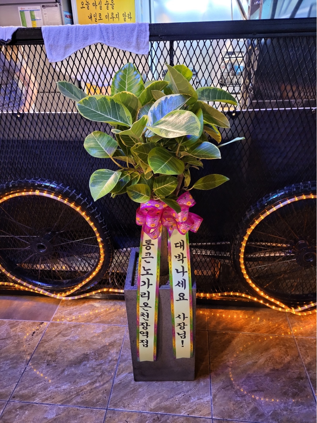 ¹ð°¥°í¹«³ª¹«