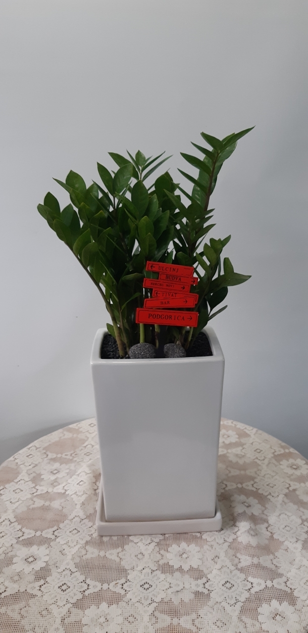 ��Ű������ ���� �ɹ��