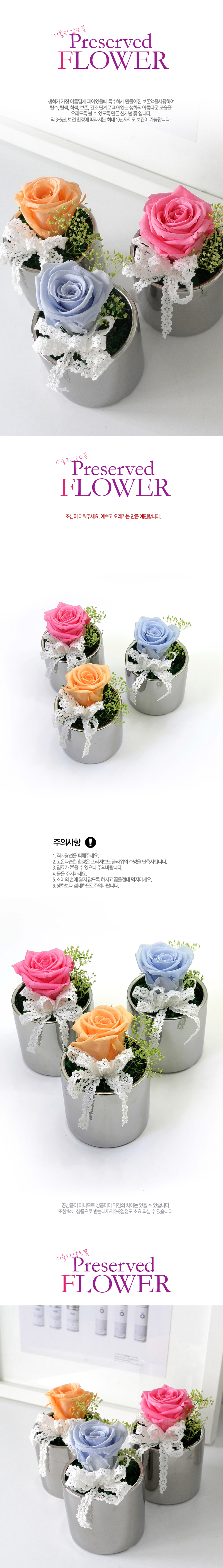Endless Love - �ǹ�ȭ�� 3set ���� �ɹ��