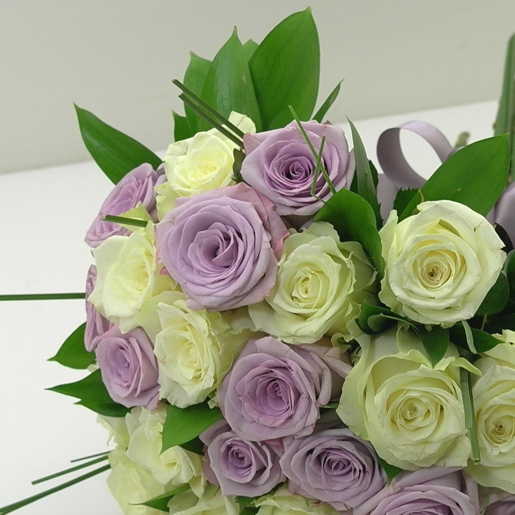 ¸ÅȤÀûÀÎÀå¹Ì - ±×´ë¸¸ º¸¿© ²ÉÁý ²É¹è´Þ