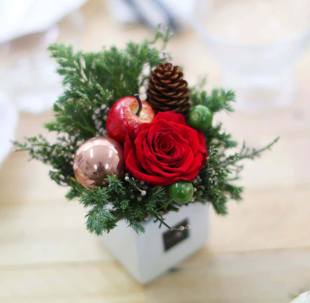 Christmas Joy - ������ �� ��� �� �ȿ� ���� �ɹ��