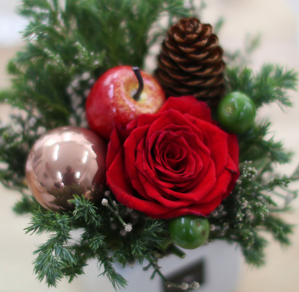 [�ù��ǰ]Christmas Joy - ������ �� ��� �� �ȿ� ���� �ɹ��