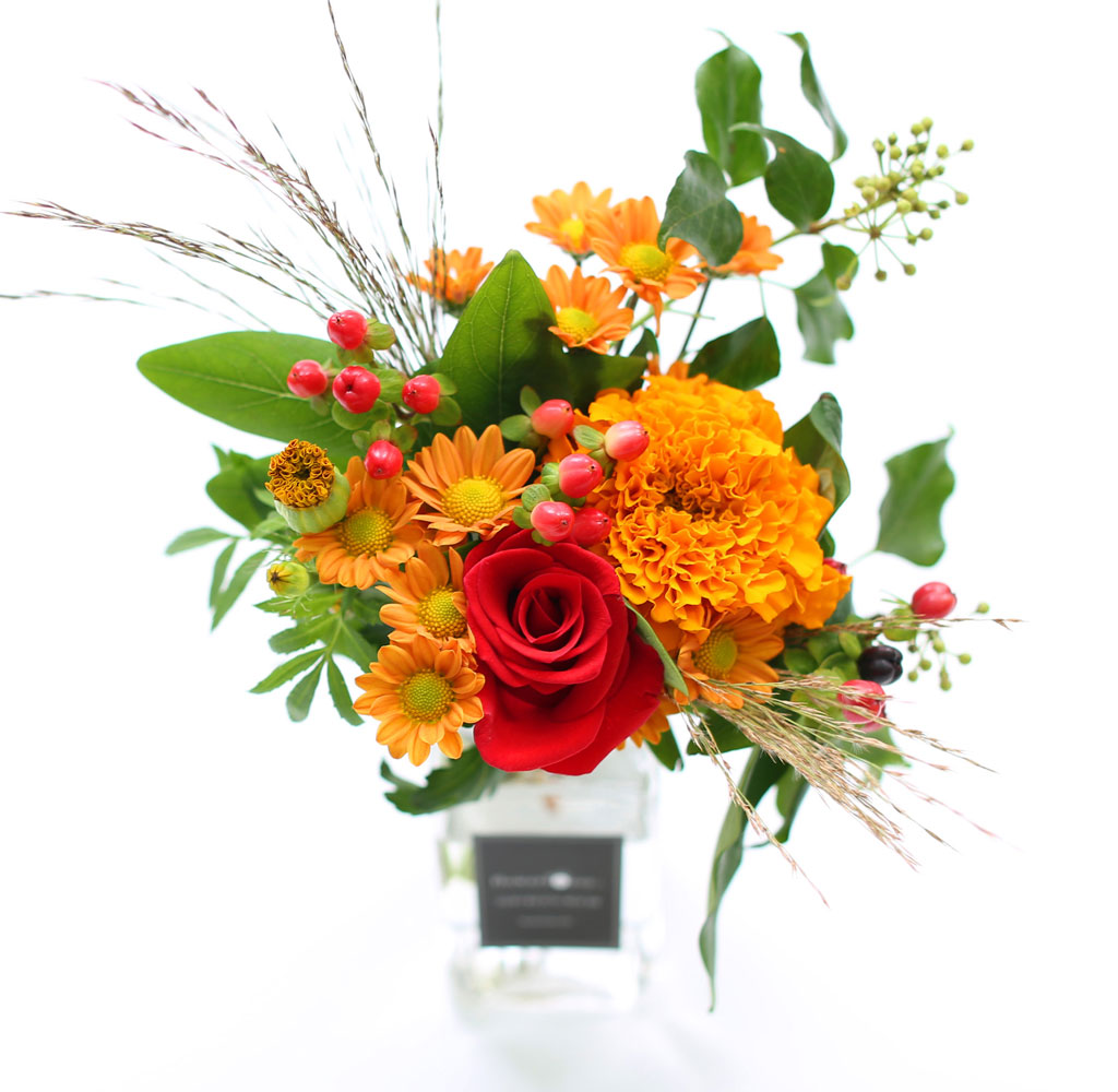 [�ù��ǰ]The Olivia- 11�� ù��° ����(ȭ������) ���� �ɹ��