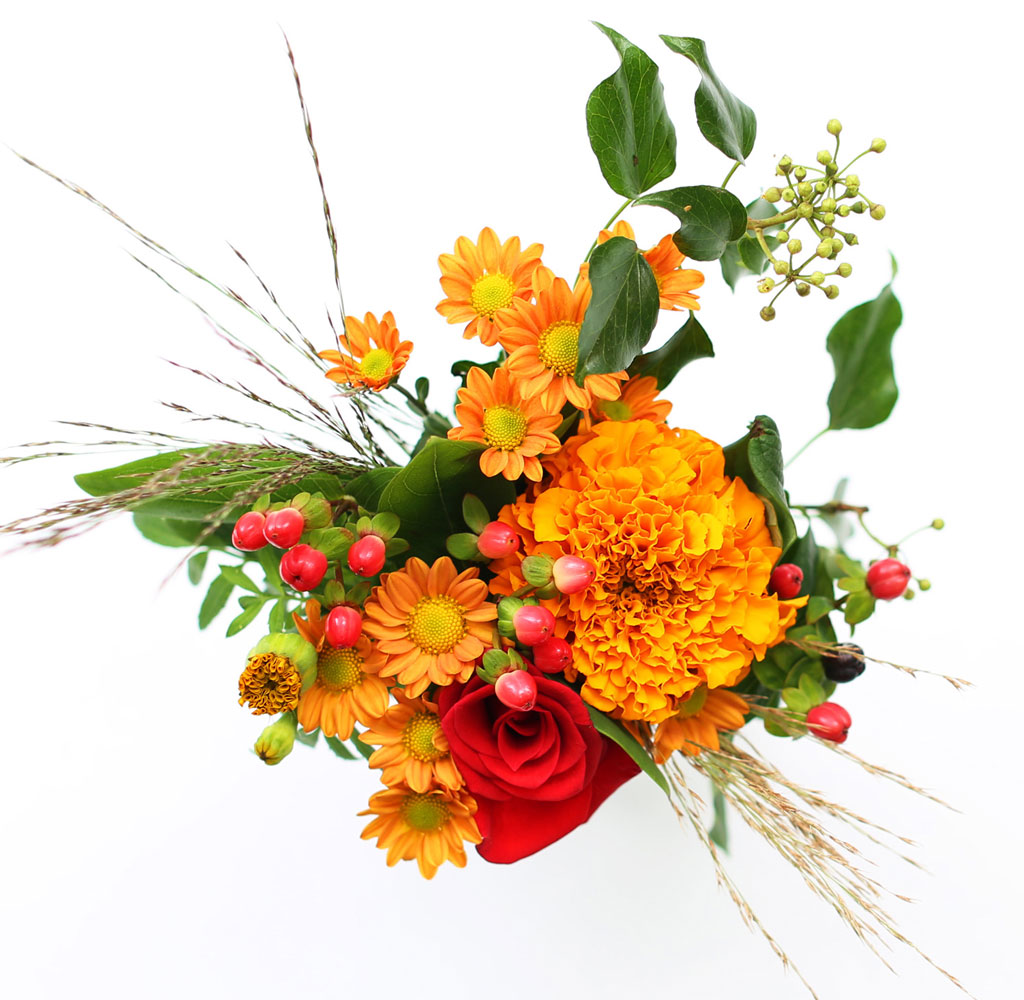 [�ù��ǰ]The Olivia- 11�� ù��° ����(ȭ������) ���� �ɹ��