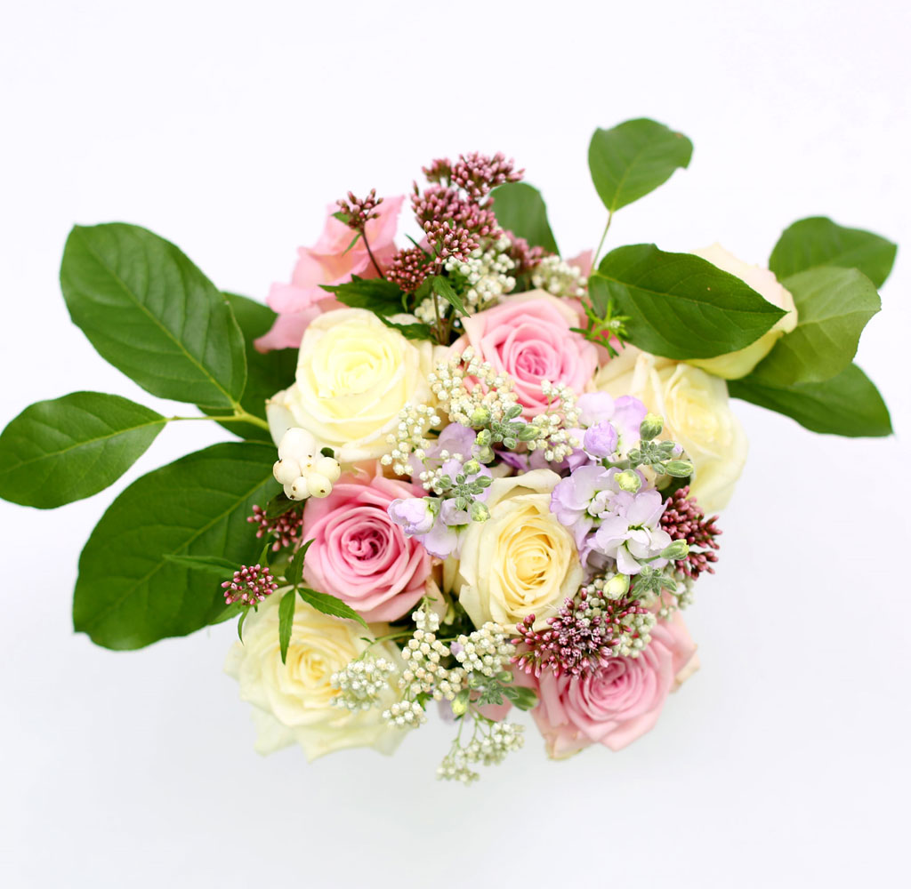 [�ù��ǰ]the Stephanie - �ҳర�� ��� ���� �ɹ��