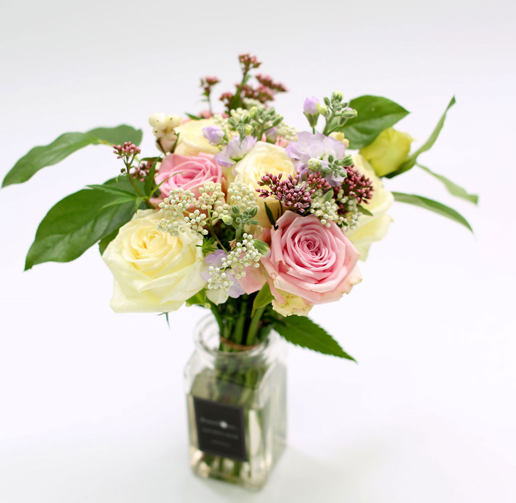 [�ù��ǰ]the Stephanie - �ҳర�� ��� ���� �ɹ��
