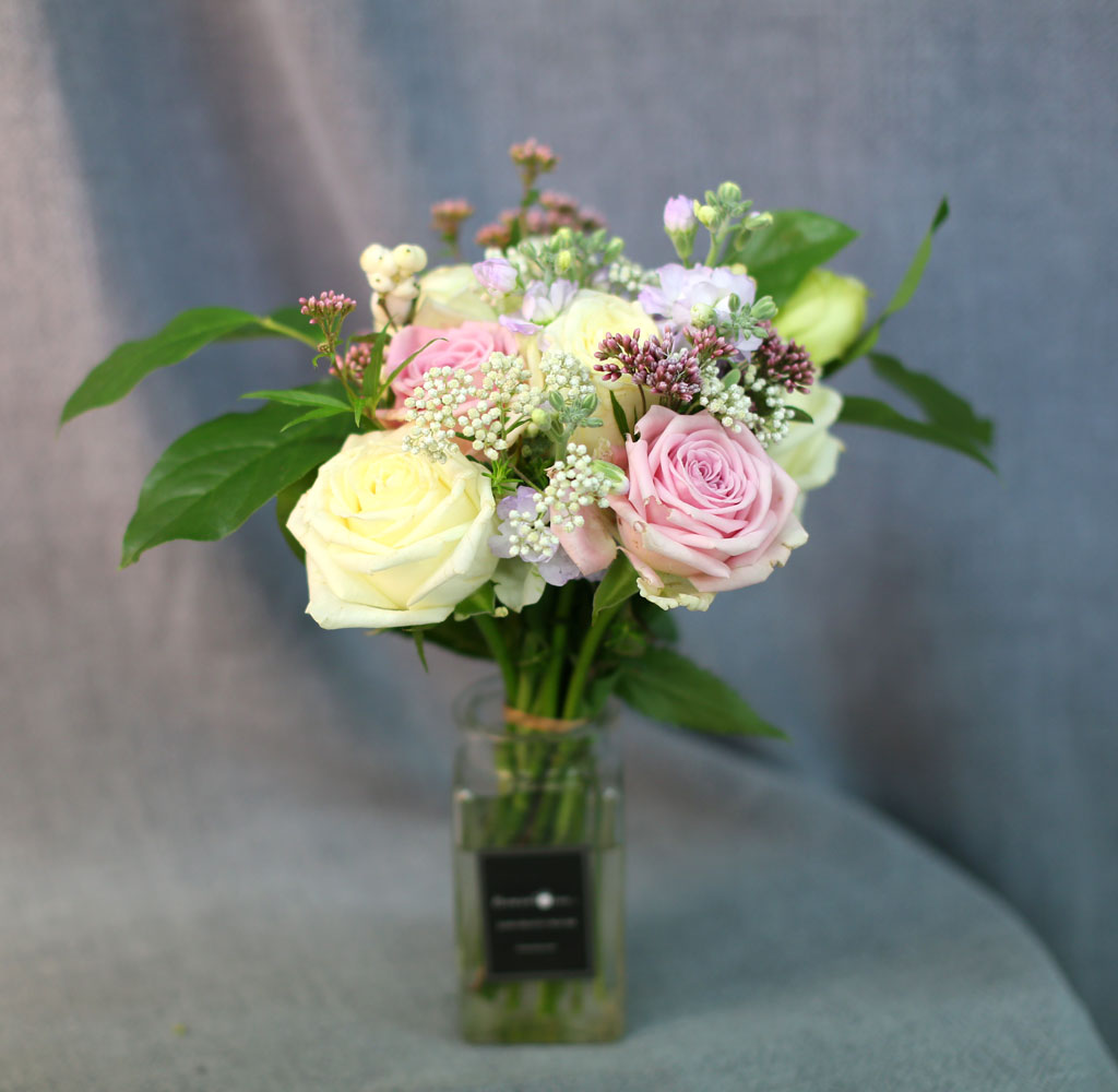 [�ù��ǰ]the Stephanie - �ҳర�� ��� ���� �ɹ��