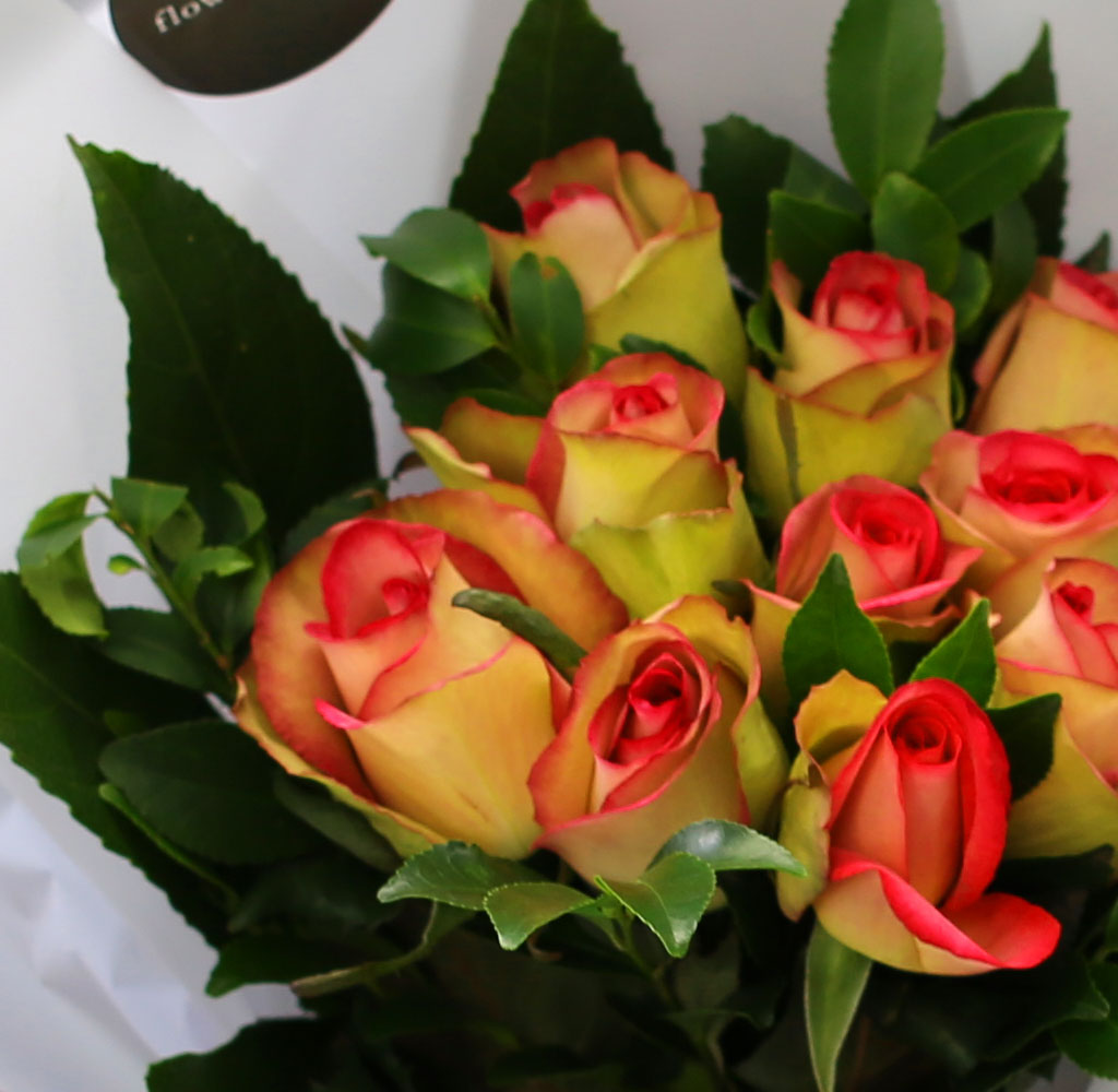 [�ù��ǰ]Fun florals by - April song ���� �ɹ��